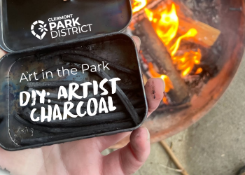 Artist charcoal